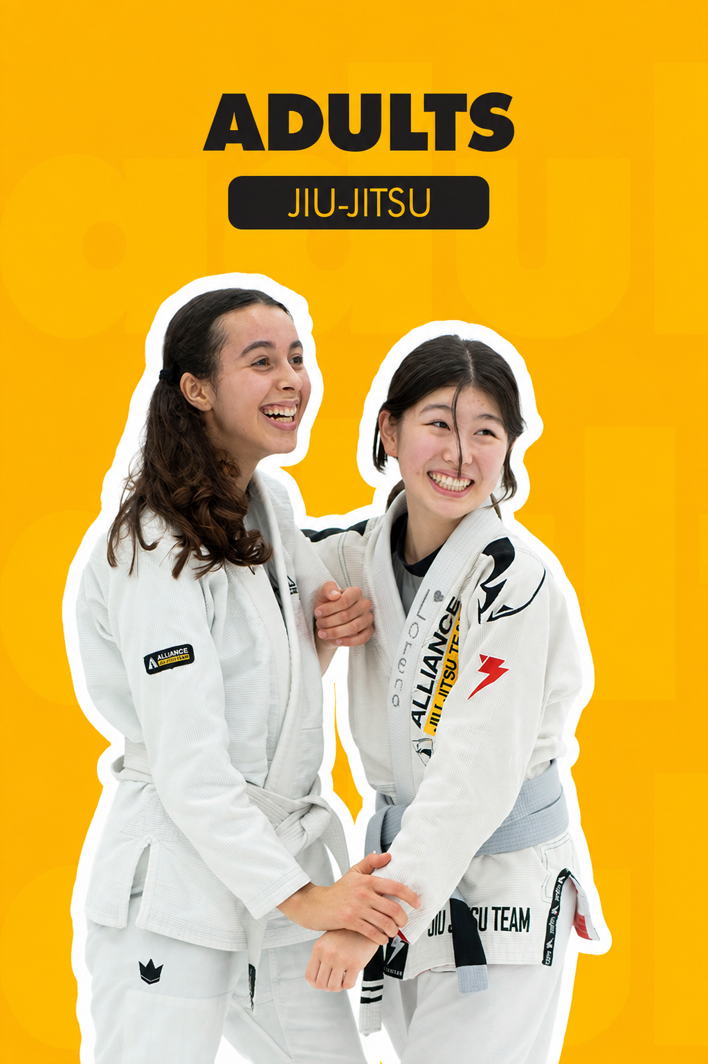 Adults Brazilian Jiu-Jitsu program at Alliance Framingham, MA